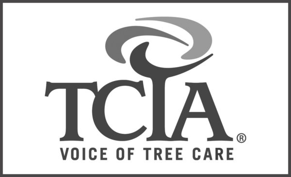 TCIA Tree Care