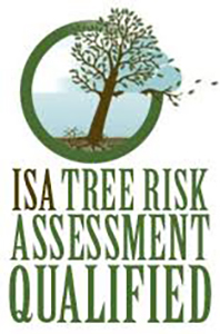Tree Risk Qualified