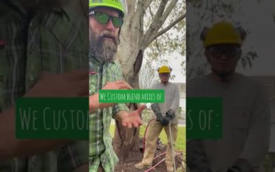 Ask An Arborist: Can Deep Root Injections save my tree?