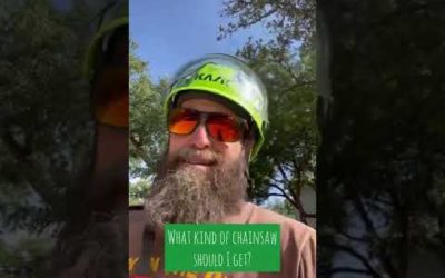 What dad really wants for Father’s Day from our Ask An Arborist!