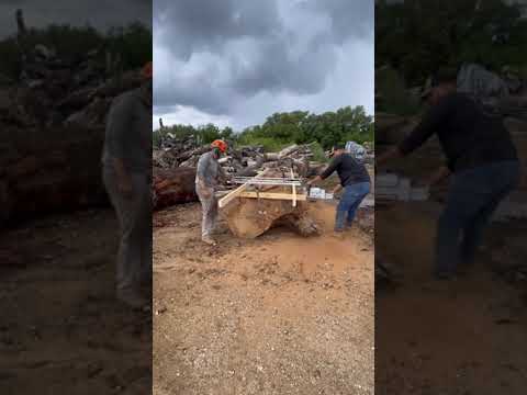 We tested out Stihl 880 on this massive Oak log!