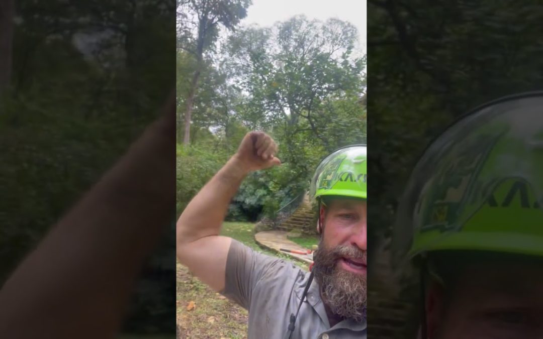 Wait! What?🌊 Scott got dunked on this tricky tree removal!