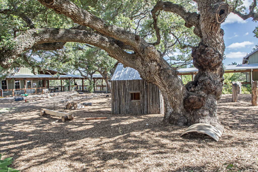 natural playgrounds