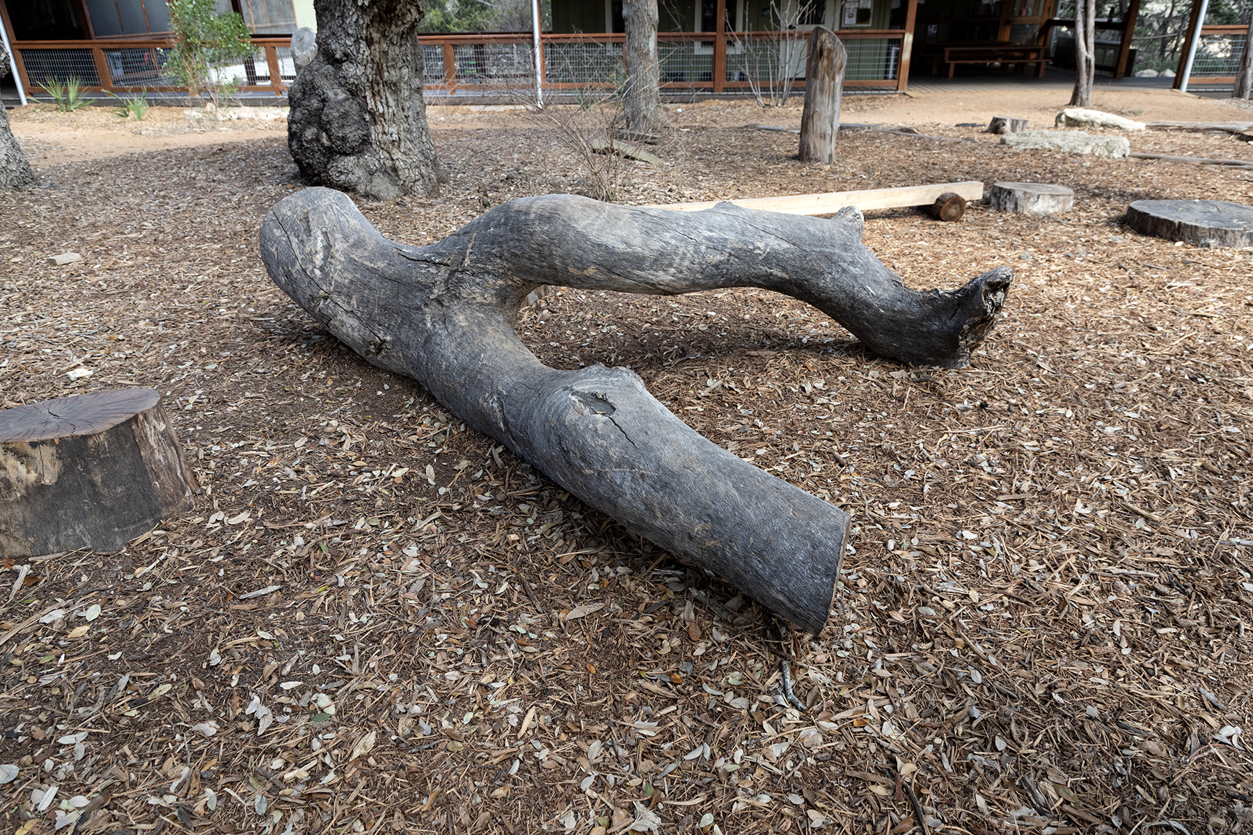 Nature Playscapes in San Antonio