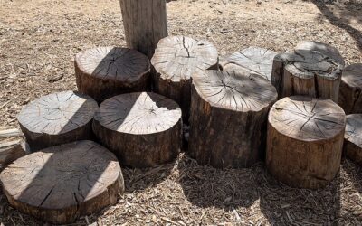 The Nest School – Nature Playscape